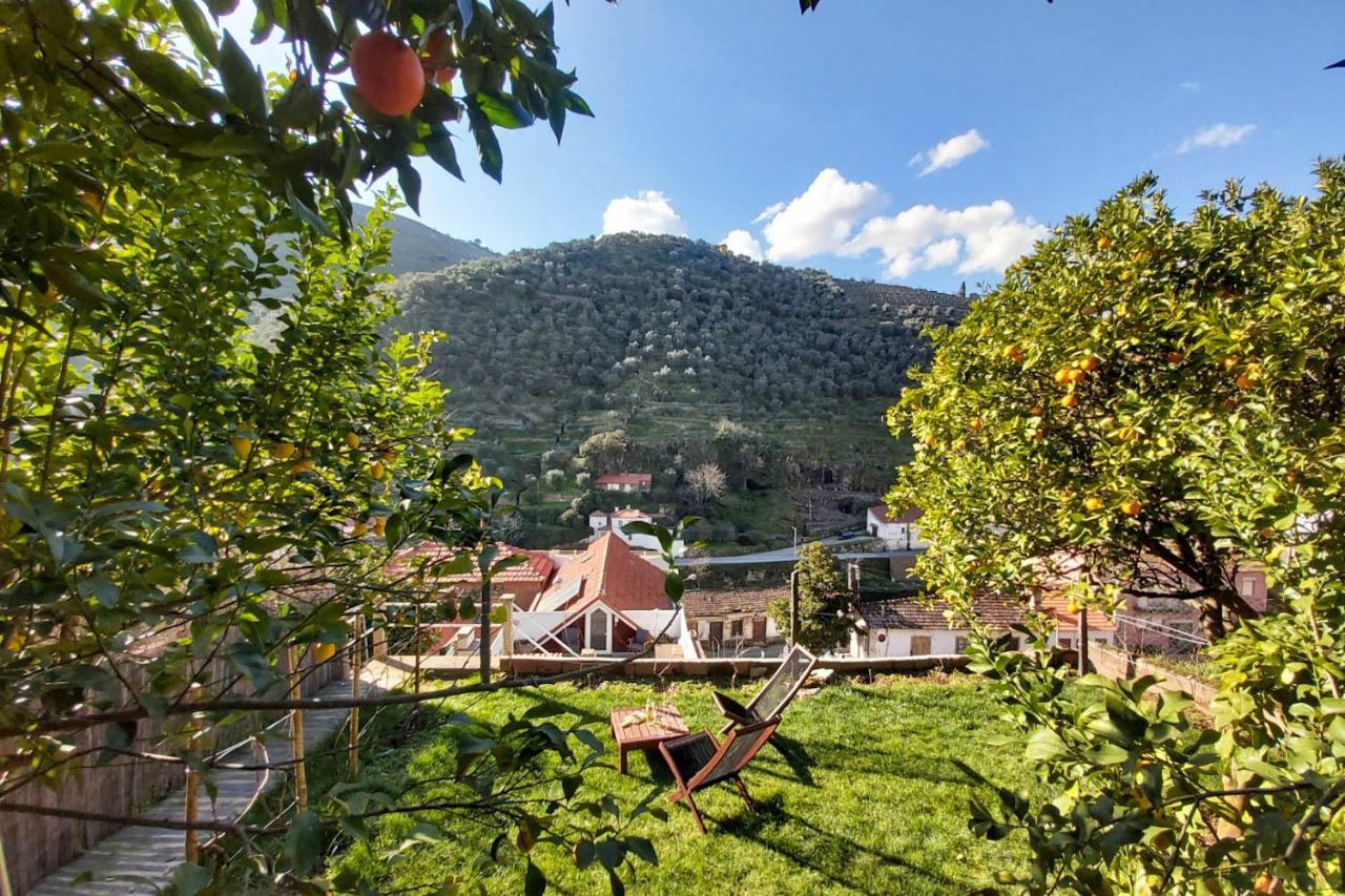 Hostel Douro Backpackers Pinhao Exterior photo