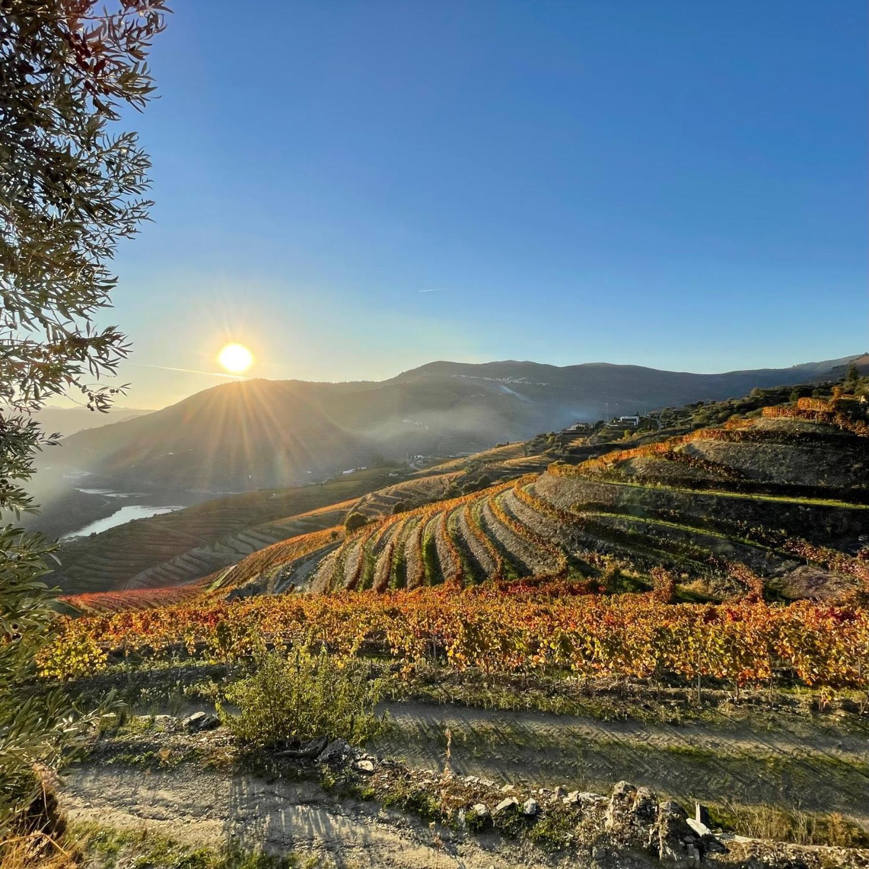 Hostel Douro Backpackers Pinhao Exterior photo