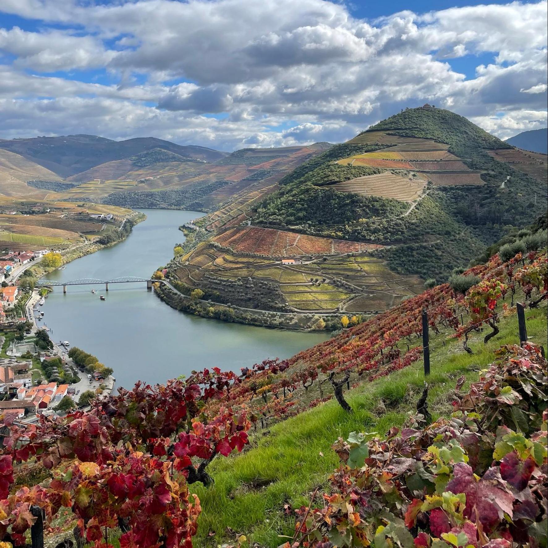 Hostel Douro Backpackers Pinhao Exterior photo