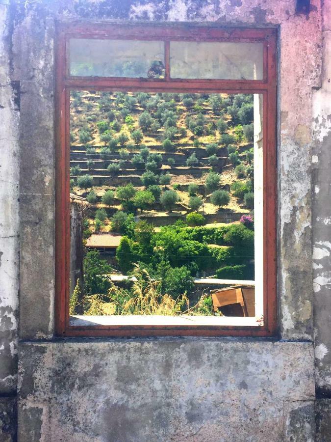 Hostel Douro Backpackers Pinhao Exterior photo